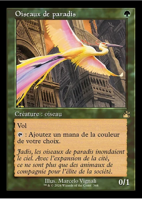 Oiseaux de paradis