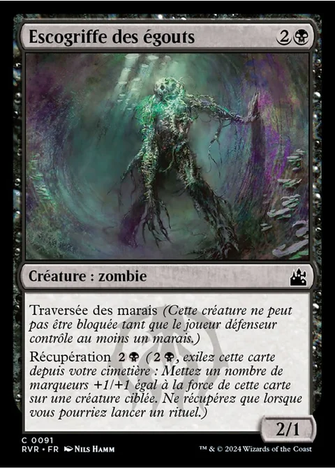 Escogriffe des égouts