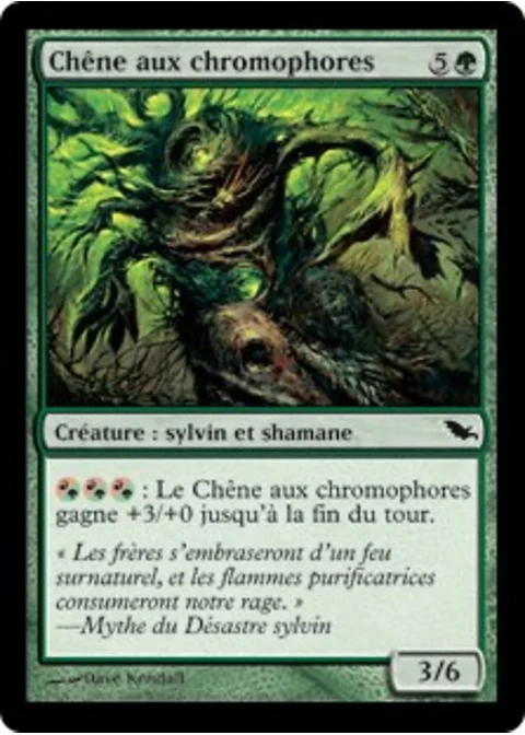 Chêne aux chromophores