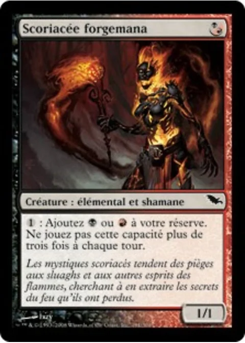 Scoriacée forgemana