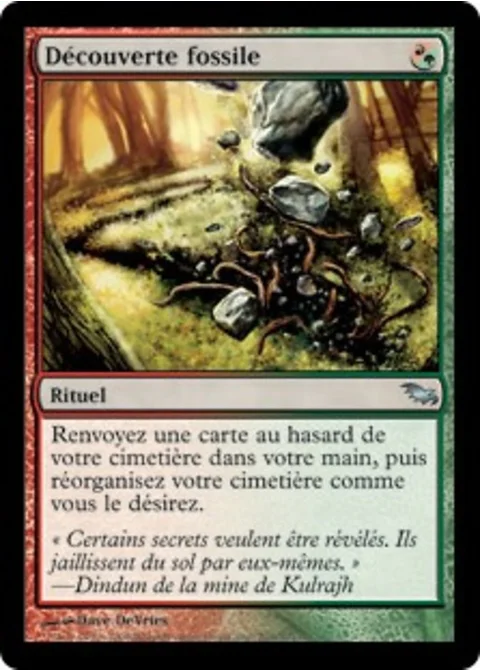 Découverte fossile