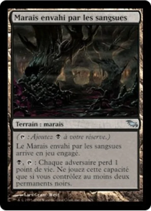 Marais envahi par les sangsues