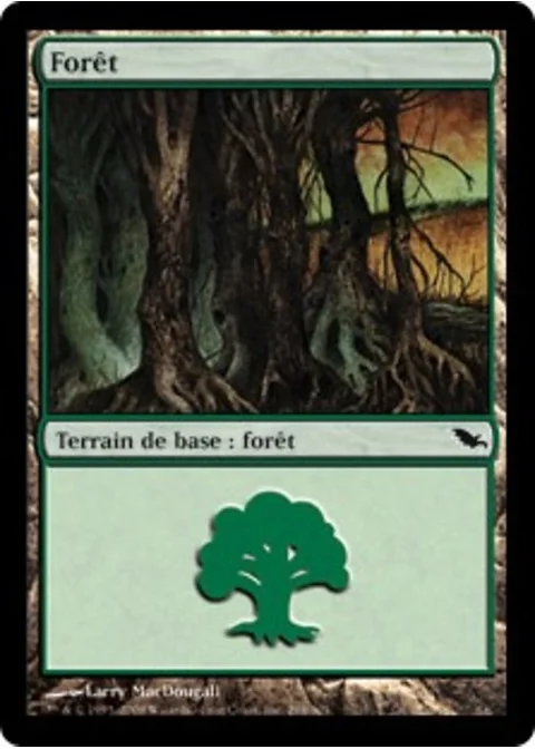 Forêt