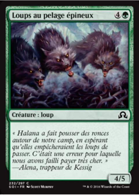 Loups au pelage épineux