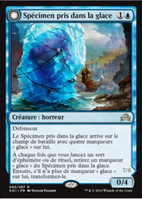 Spécimen pris dans la glace