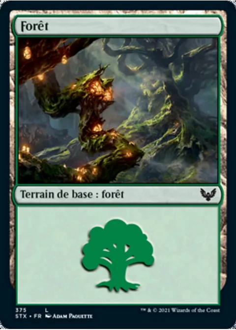 Forêt