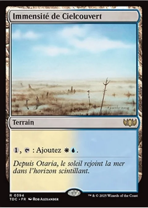 Immensité de Cielcouvert