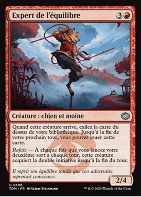 Expert de l'équilibre