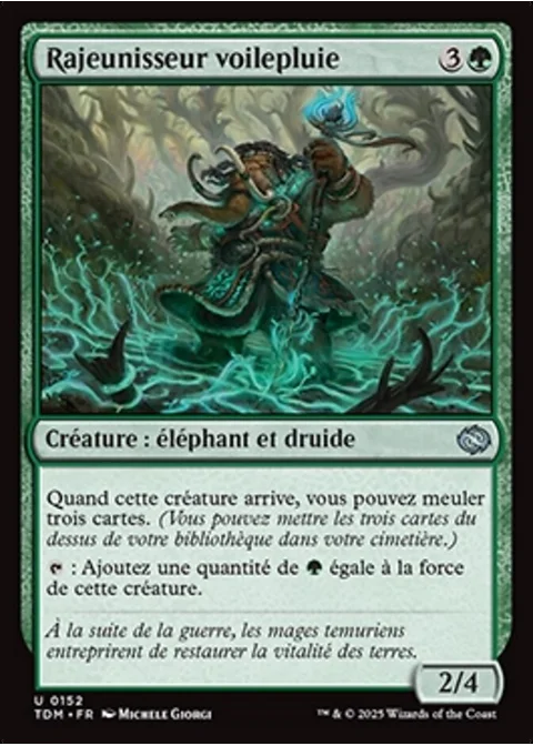 Rajeunisseur voilepluie