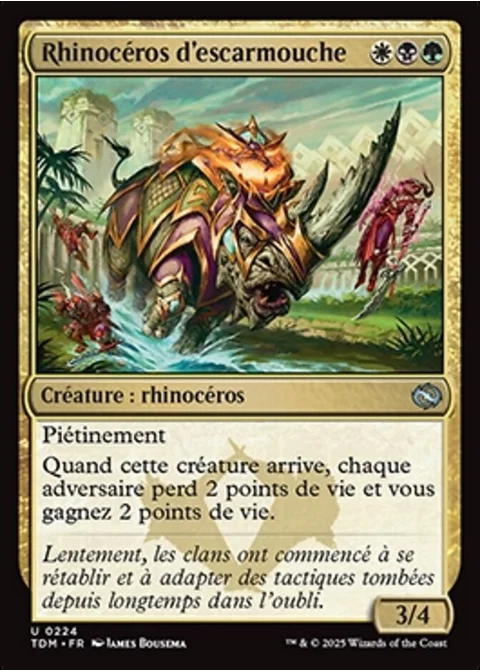 Rhinocéros d'escarmouche