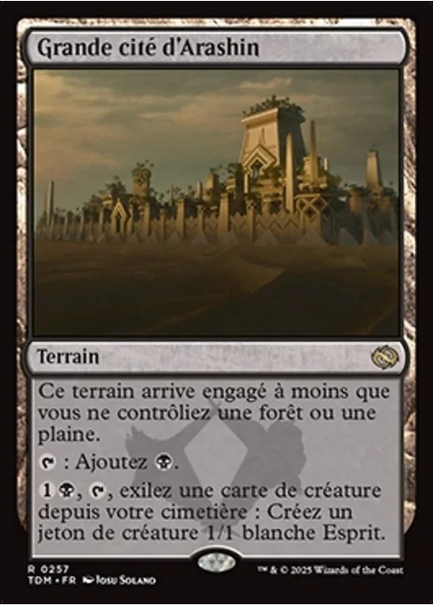 Grande cité d'Arashin