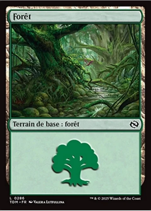 Forêt