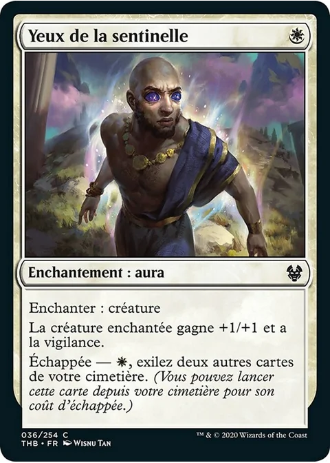 Yeux de la sentinelle