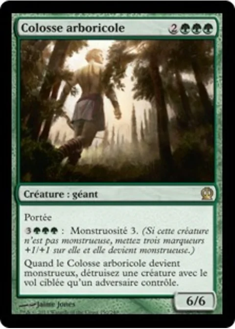 Colosse arboricole