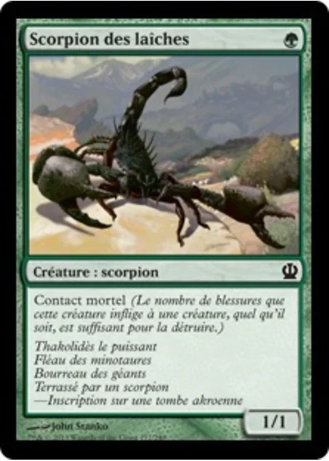 Scorpion des laîches