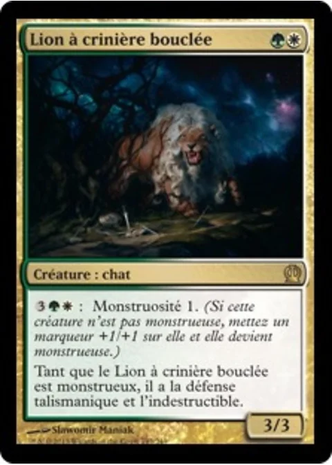 Lion à crinière bouclée