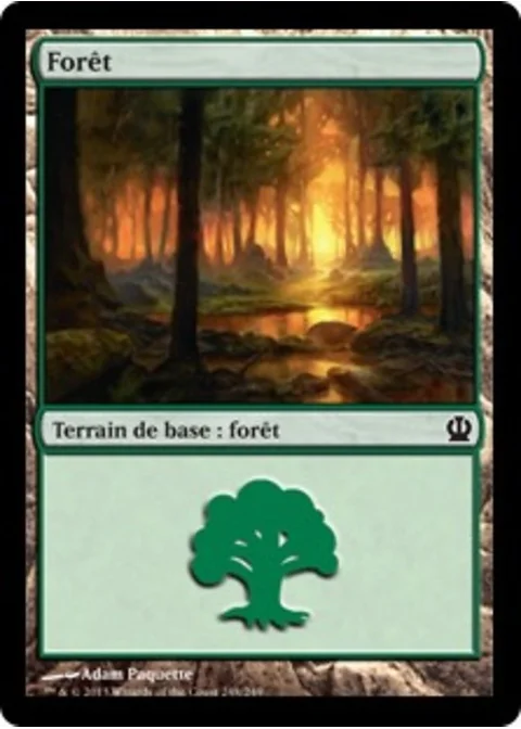 Forêt