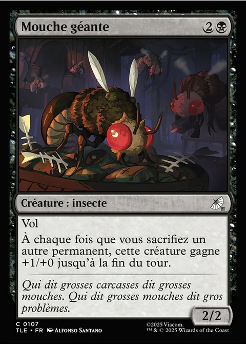 Mouche géante