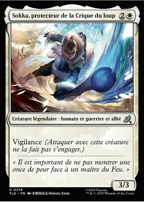 Sokka, protecteur de la Crique du loup