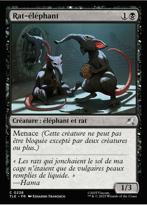 Rat-éléphant