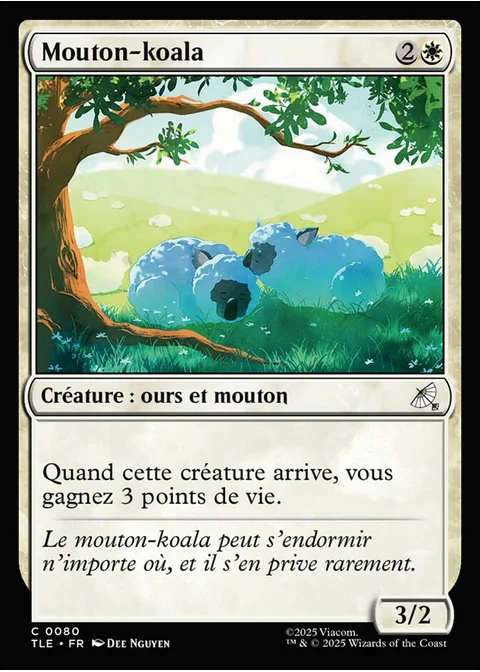 Mouton-koala