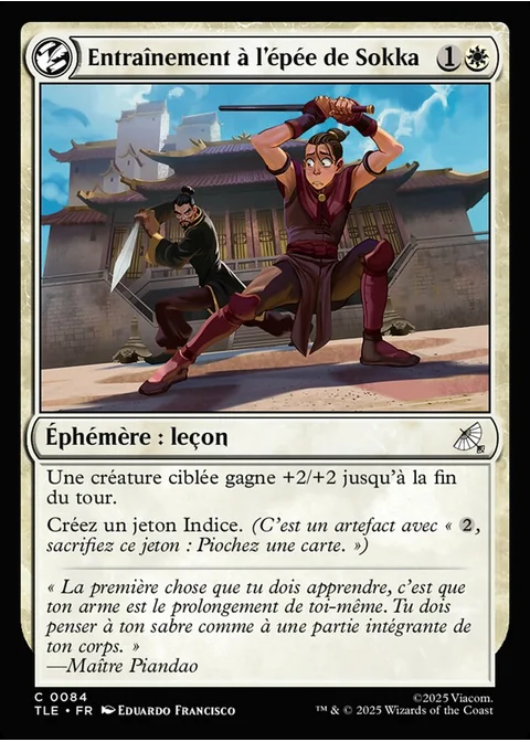 Entraînement à l'épée de Sokka