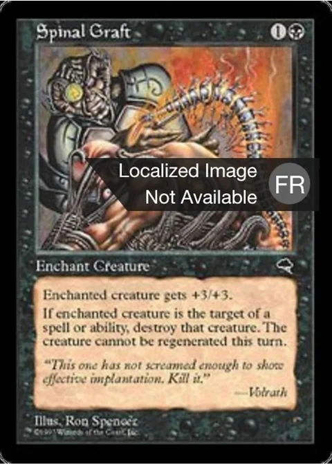 Greffe spinale