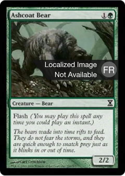 Ours à fourrure cendrée