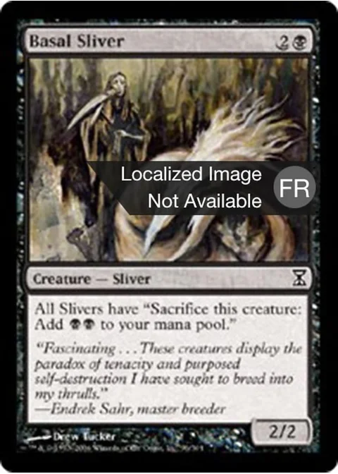 Slivoïde fondamental