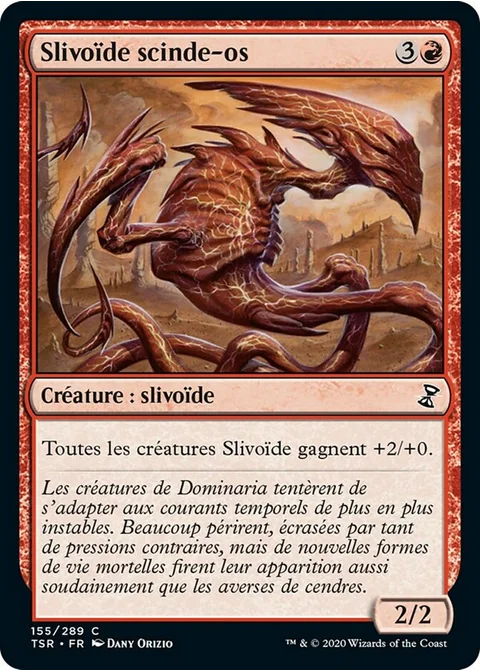 Slivoïde scinde-os