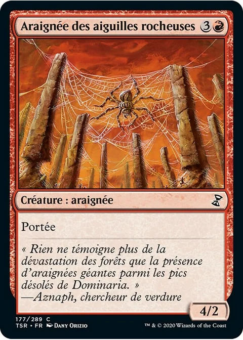 Araignée des aiguilles rocheuses
