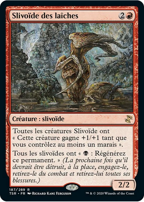 Slivoïde des laîches