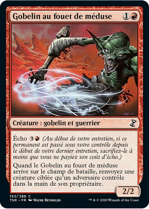 Gobelin au fouet de méduse