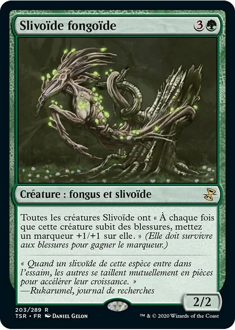 Slivoïde fongoïde