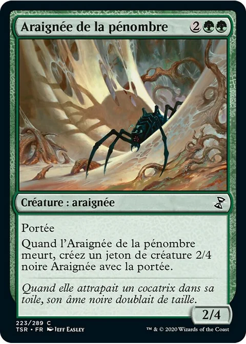 Araignée de la pénombre