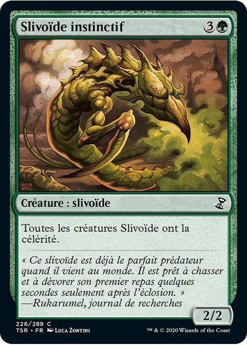 Slivoïde instinctif