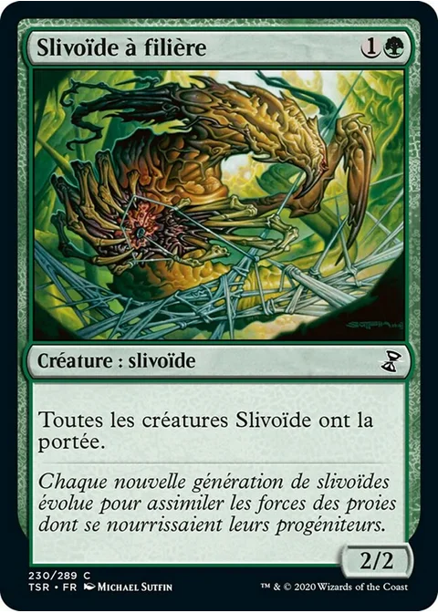 Slivoïde à filière