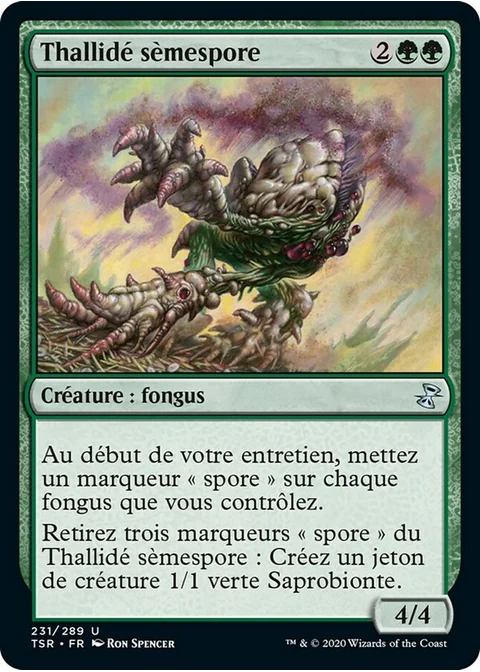 Thallidé sèmespore