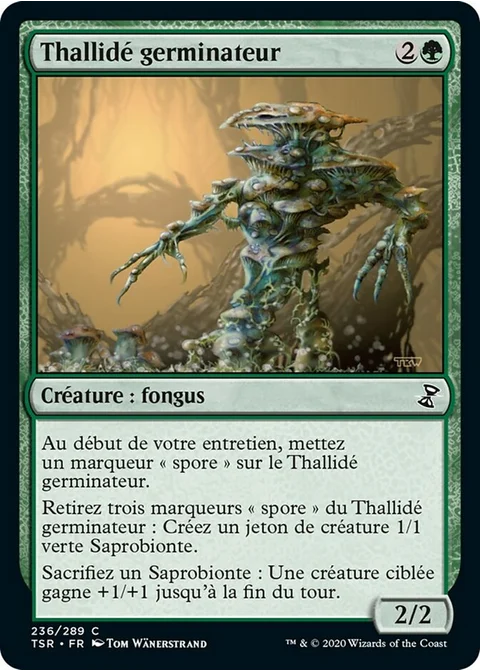 Thallidé germinateur