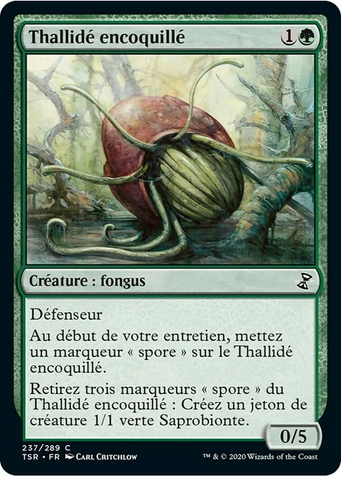 Thallidé encoquillé