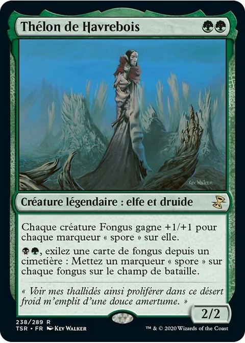 Thélon de Havrebois