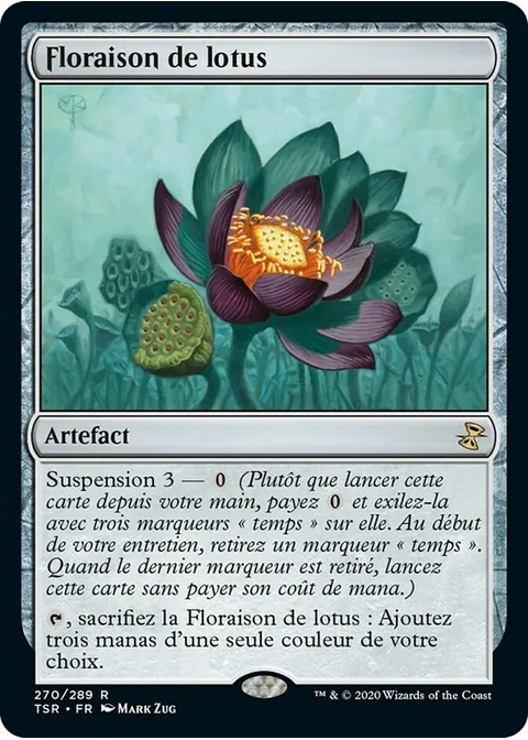 Floraison de lotus