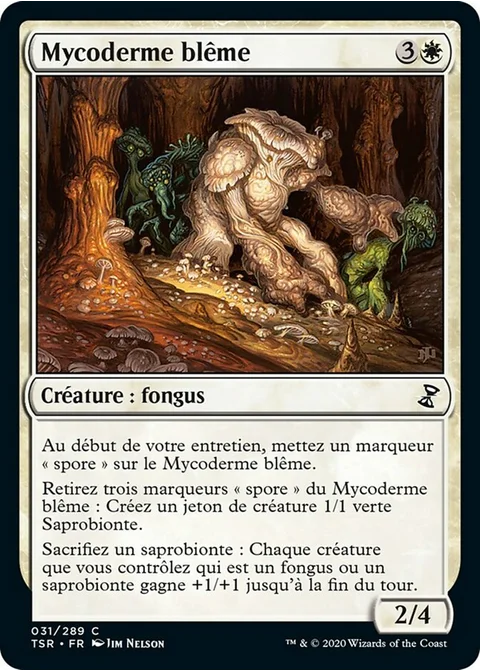 Mycoderme blême