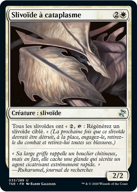 Slivoïde à cataplasme