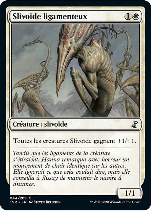 Slivoïde ligamenteux
