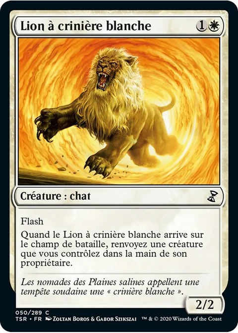 Lion à crinière blanche