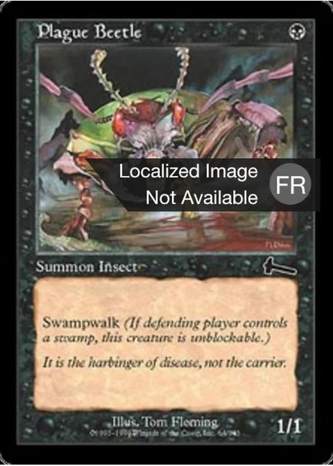 Scarabée de la Peste