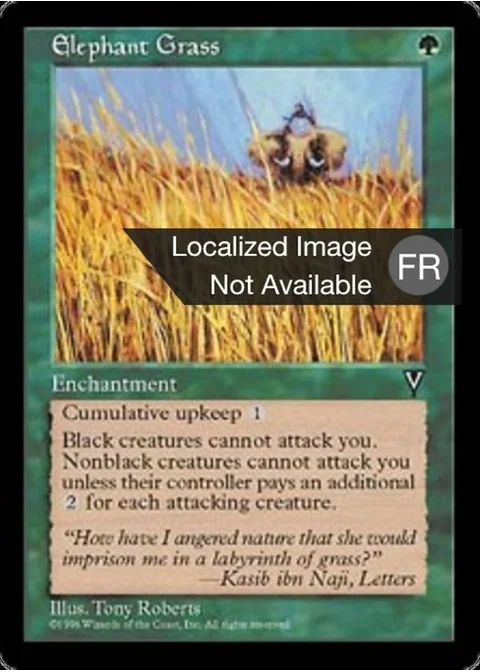 Herbes éléphantesques