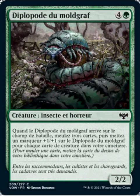 Diplopode du moldgraf