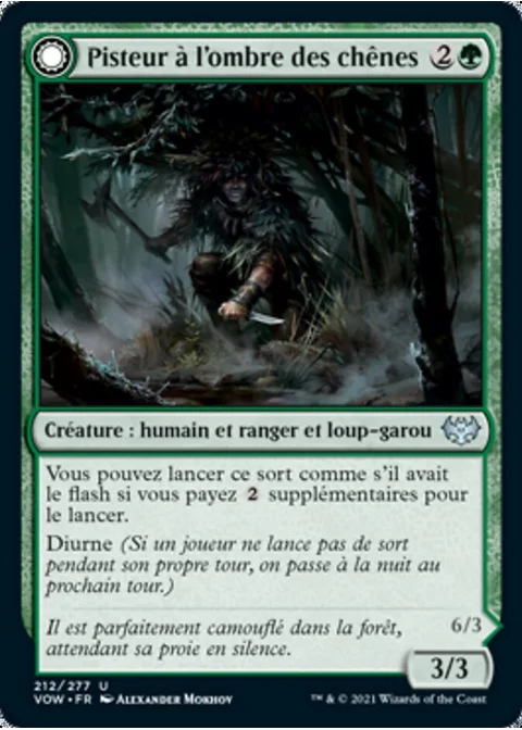 Pisteur à l'ombre des chênes